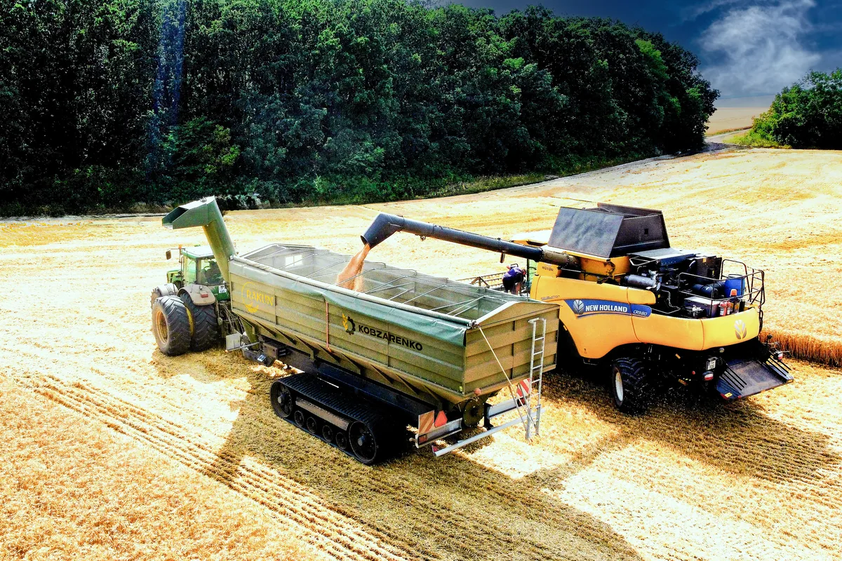 PBN-50 gąsienica Rakun9