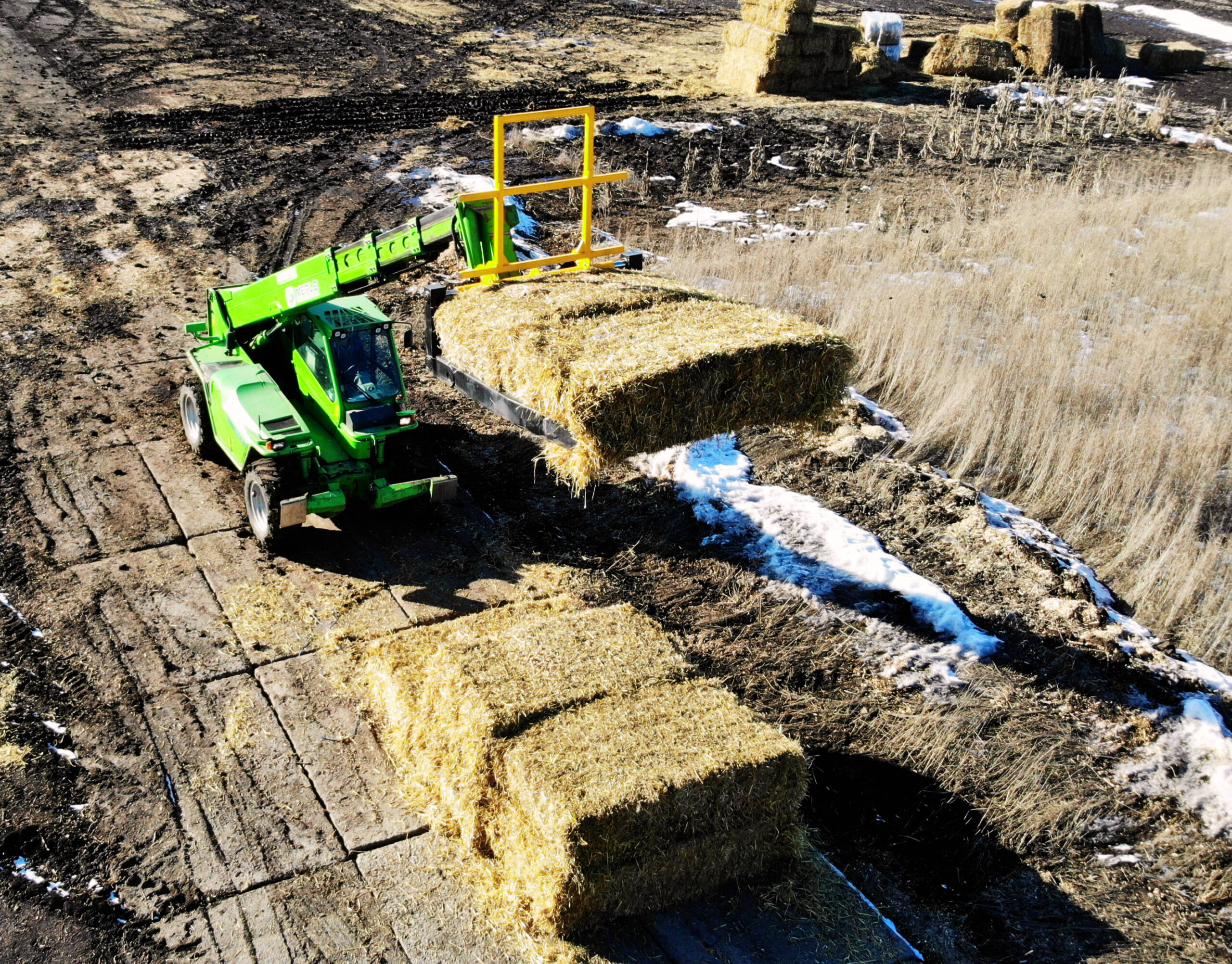 chwytak do balotów 1