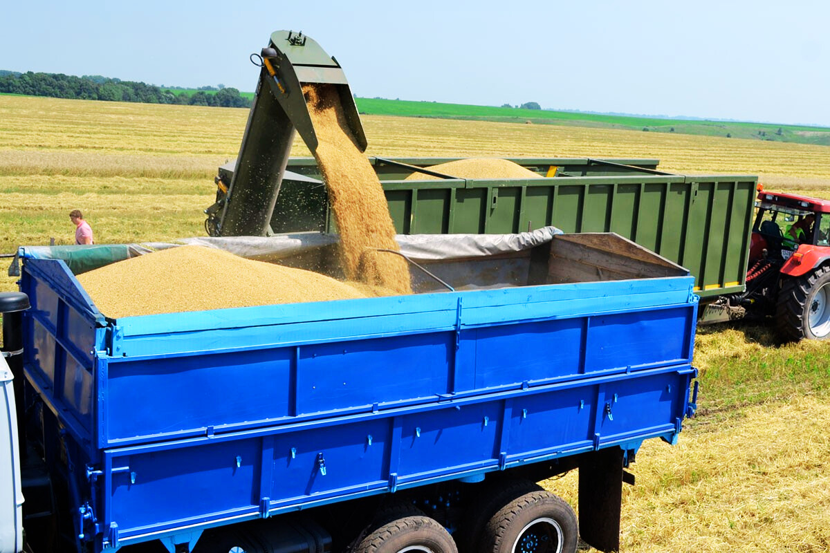 ślimak przeładunkowy