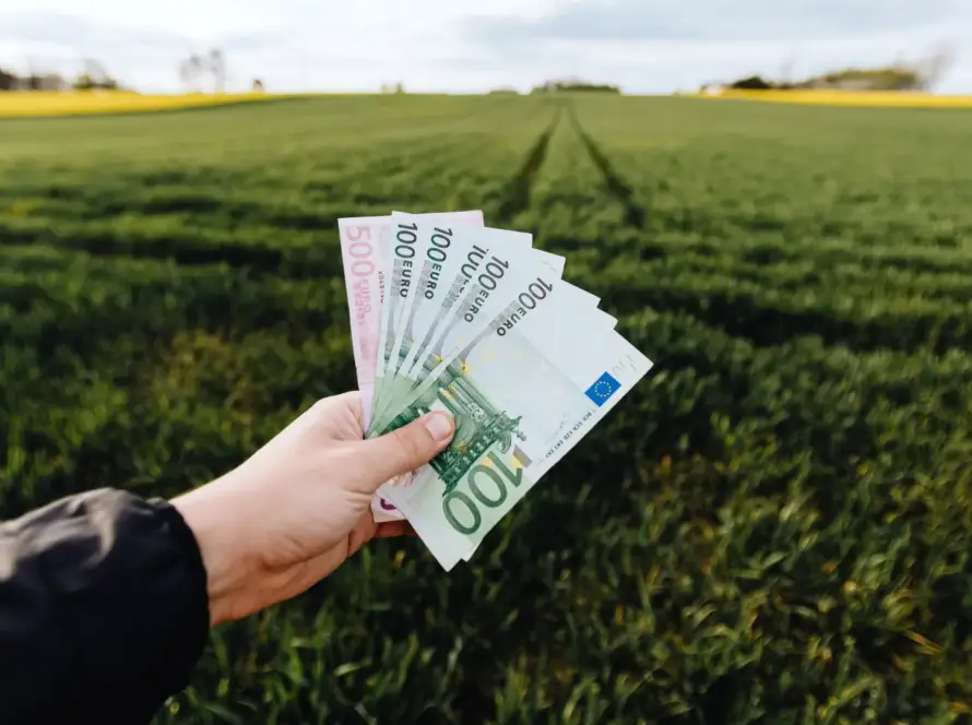 Dopłaty bezpośrednie