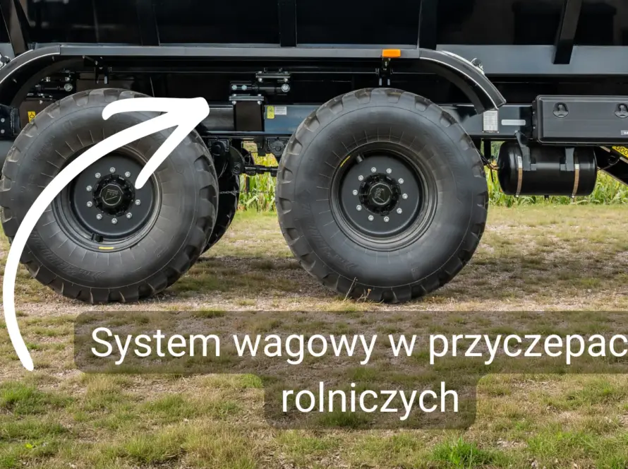 System wagowy