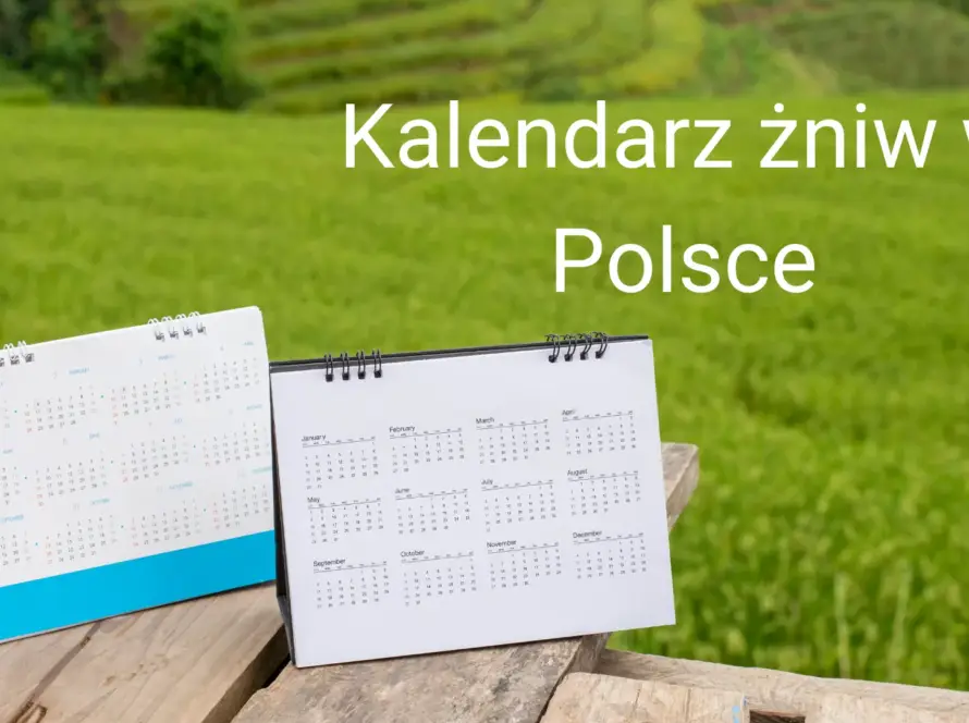 Kalendarz żniw